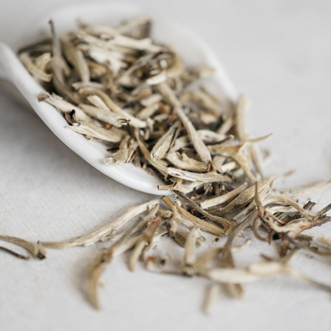 Tea Silver Silver Needles Tea - White Tea